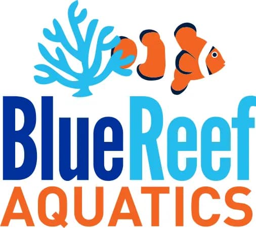 Blue Reef Buffalo